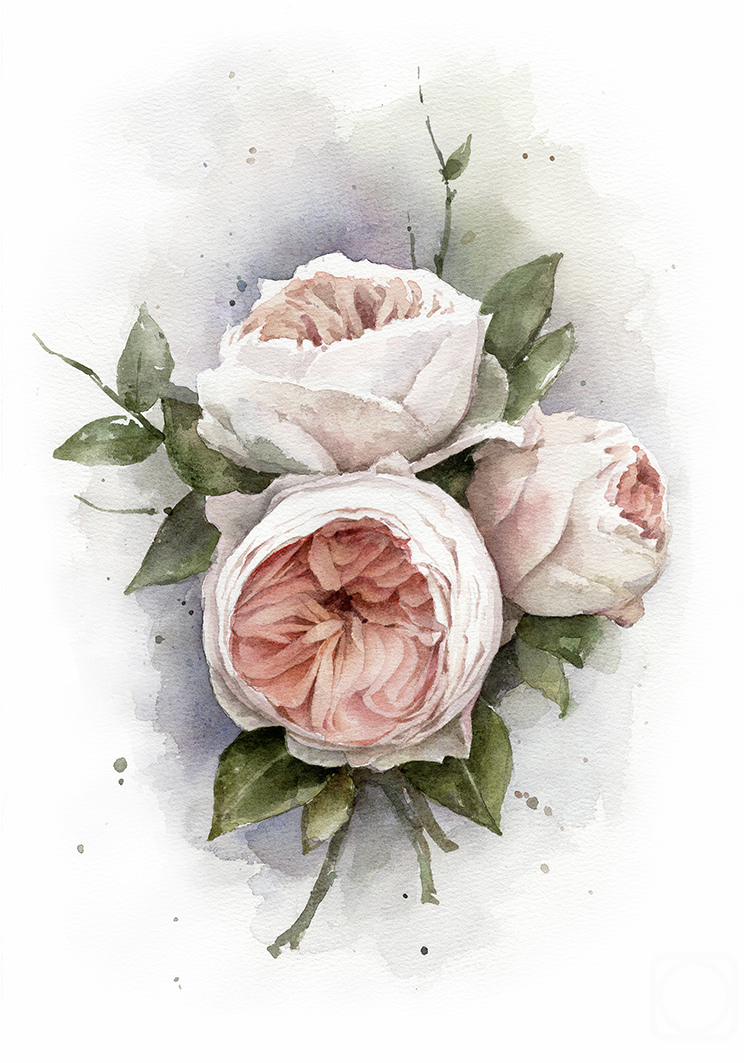 �������. ������ �������. �����, ����� ���, ����������� ����