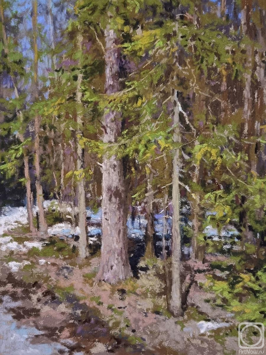 �������. ������ �����. ��������� ����