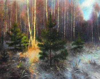 ���������� �����. �������� �������