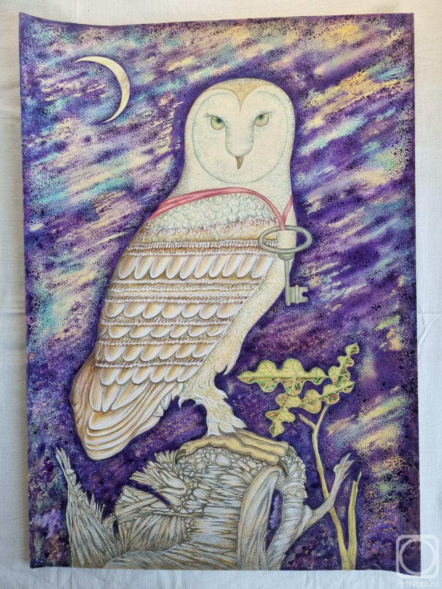 �������. �������� �����. ���������