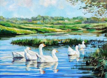 ������� ���������