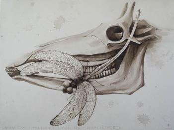 Dream 122. Transience