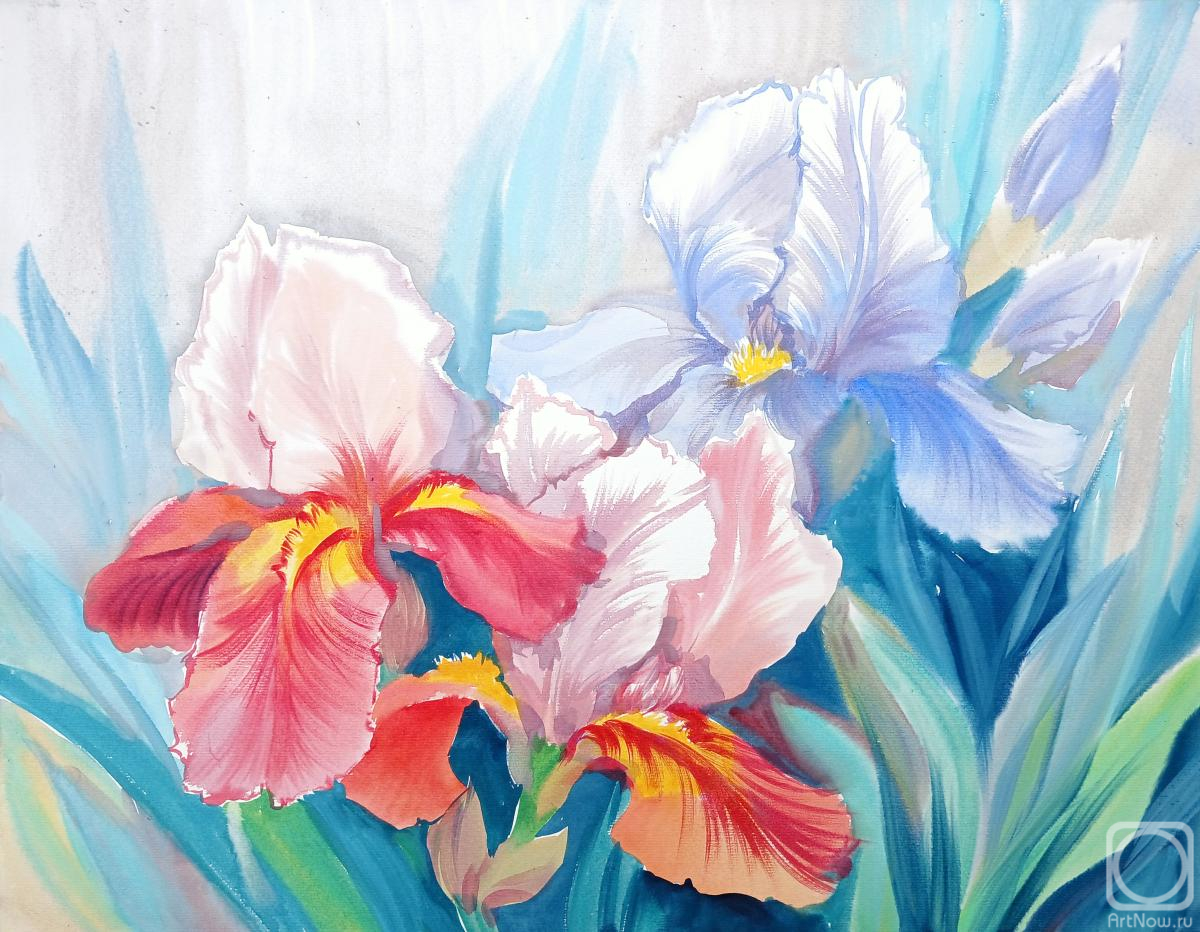 �������. ���������� ���������. ������ ���� ������