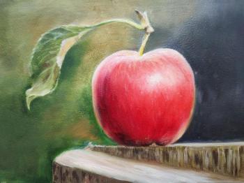 ������ � ����. �������� �������