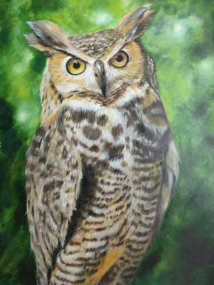 ������ �����. �������� �������