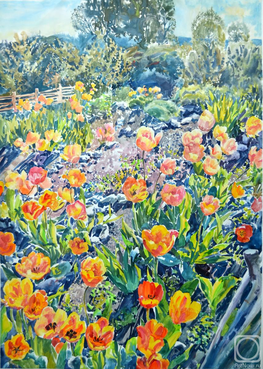 �������. �������� �������. �����