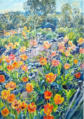 �����. �������� �������