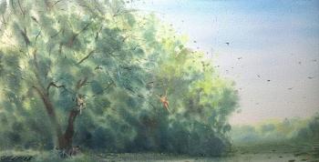 ������� ���������