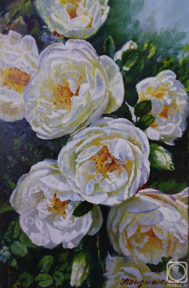 ������� ������ �� ������. ��������� ��������. ��������