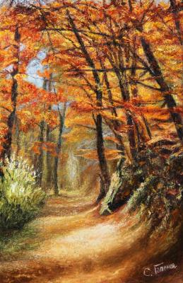 Path to the forest. Gaponov Sergey