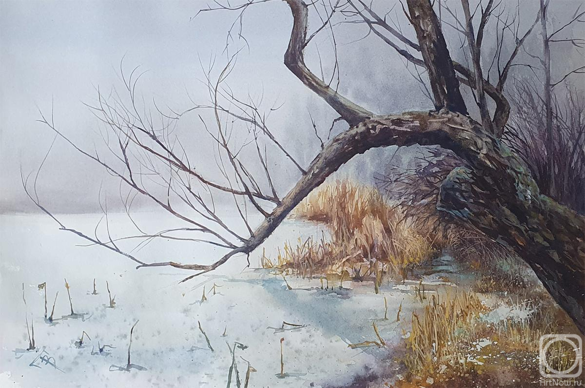 �������. �������� �������. ������