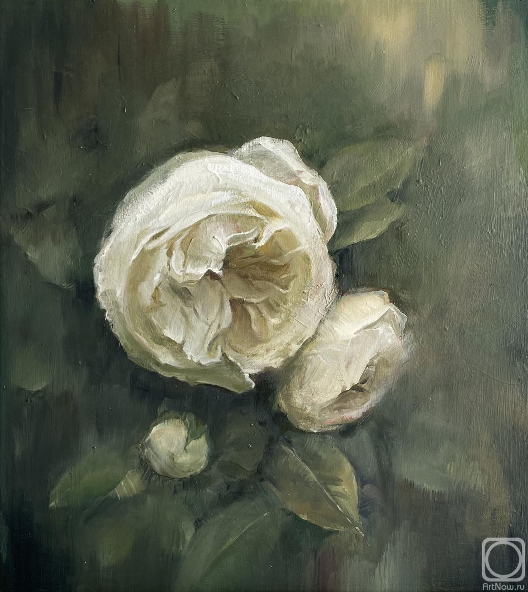 ������� ������ �� ������. ������ �������. ����� ����������� ����