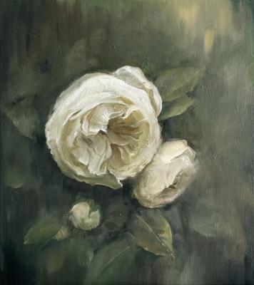 ������� ������ ����������� �����