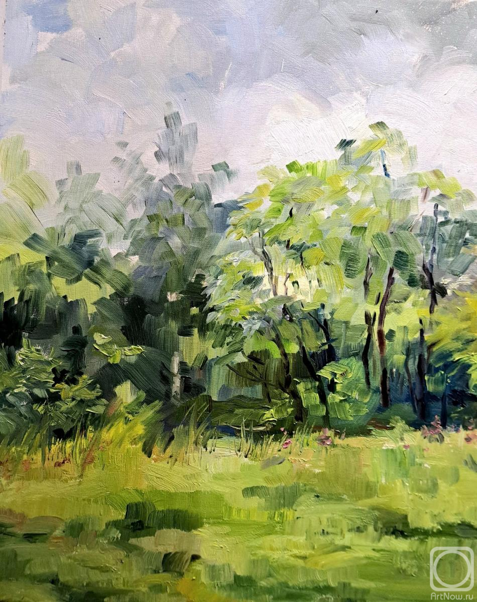 Odnolko Natalia. Landscape from the Vinyashur Biinsky Open Air