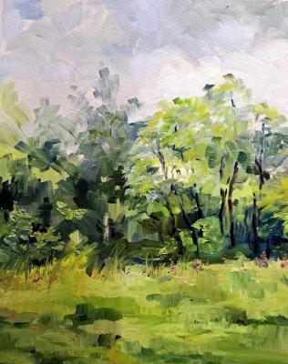 Landscape from the Vinyashur Biinsky Open Air