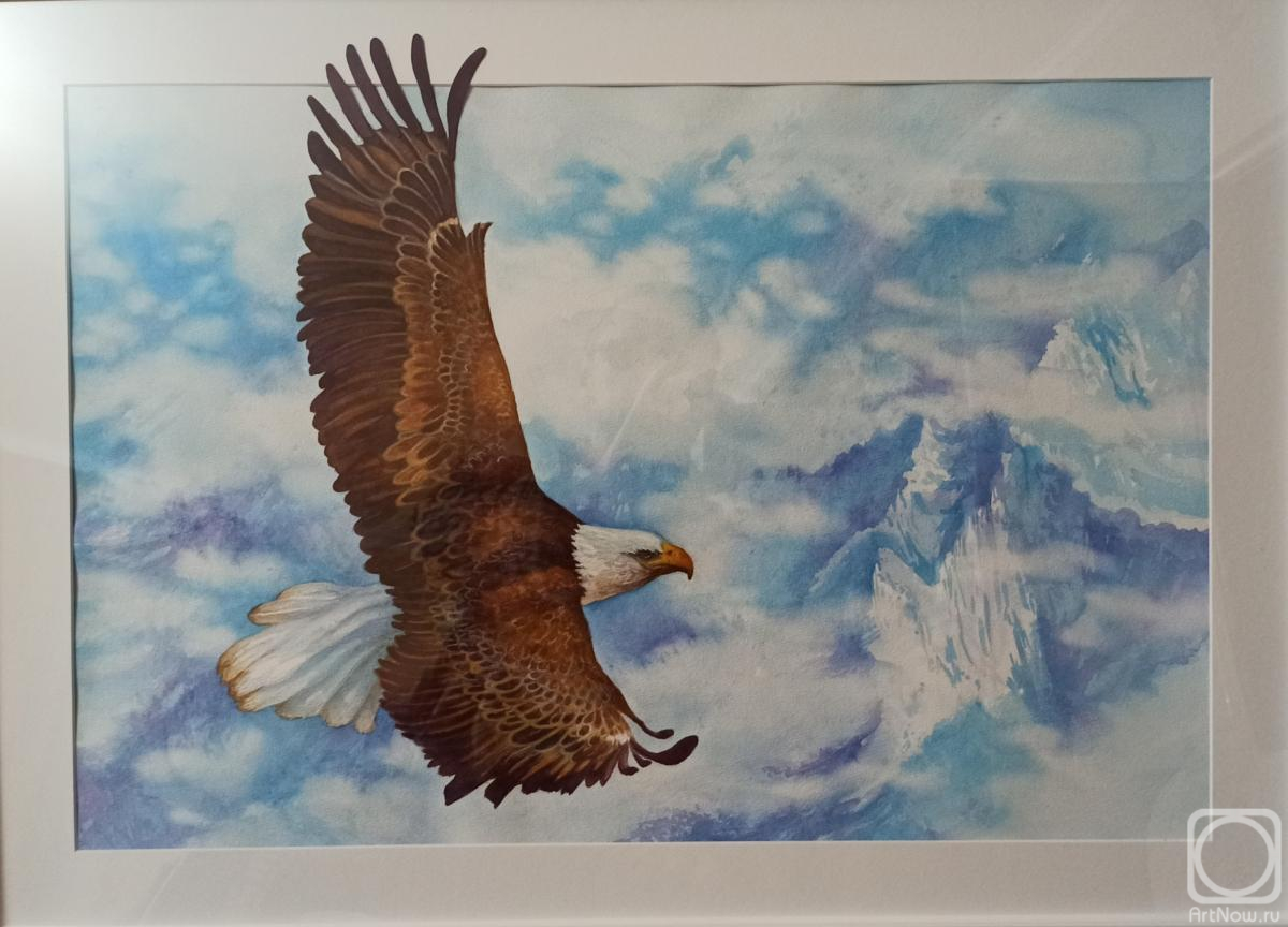 �������. ������� ���������. ������� ����