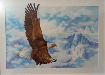 ������� �������� ����