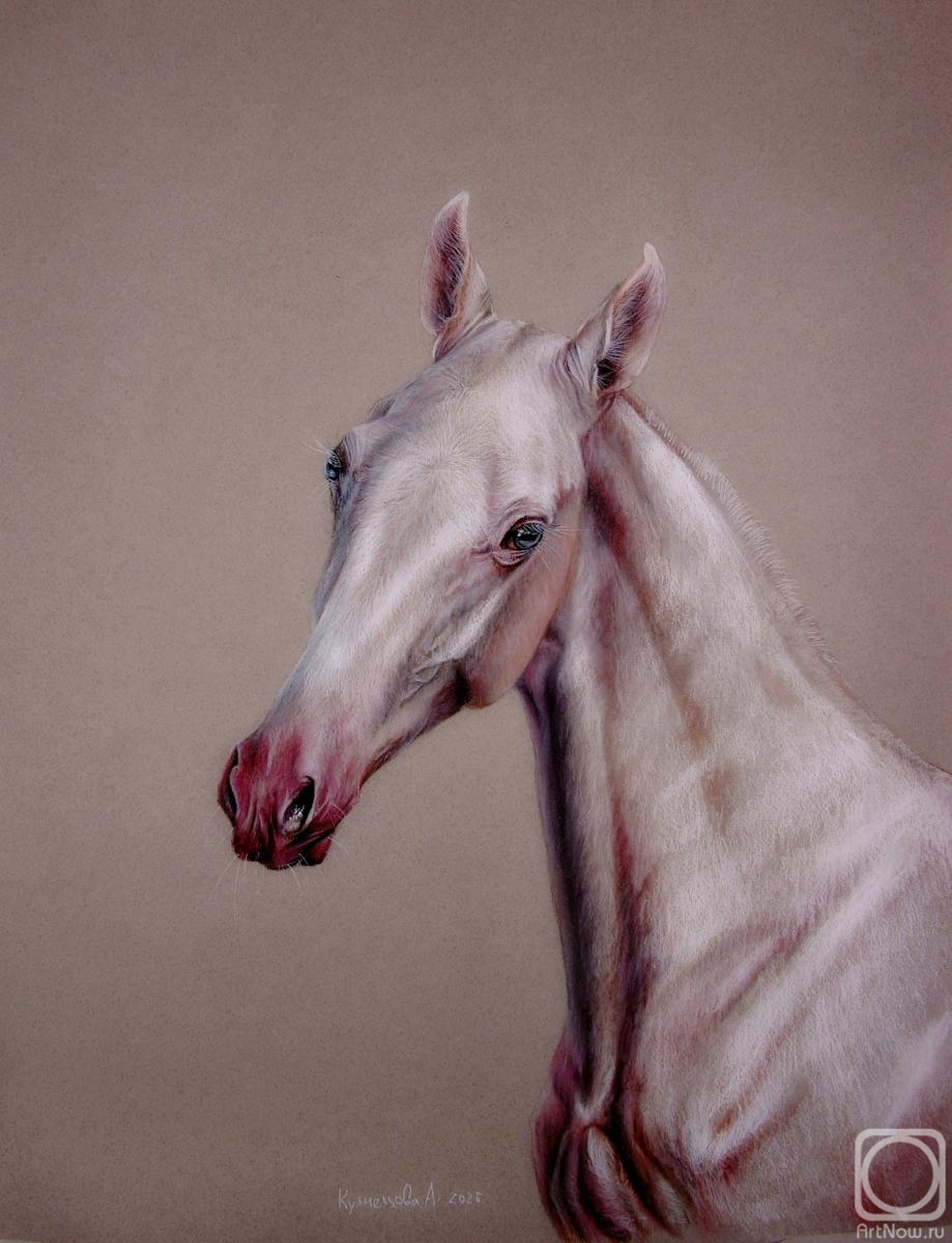 �������. ��������� ���������. ������������ ������