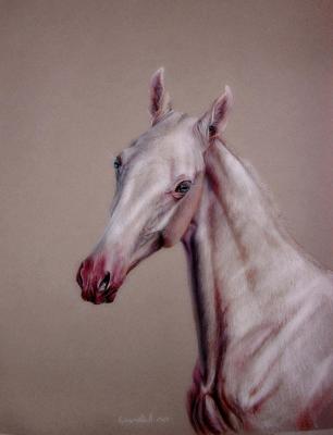 ������������ ������. ��������� ���������