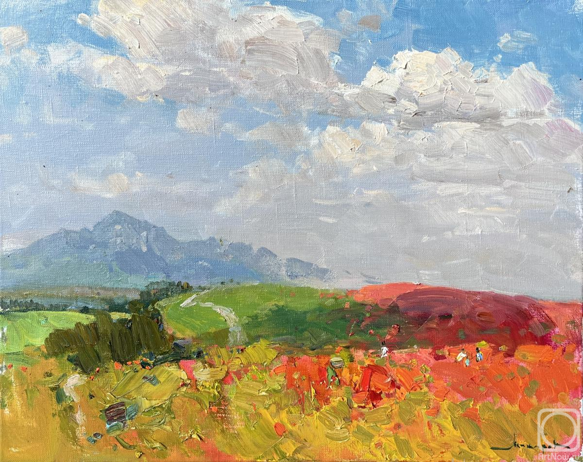 ������� ������ �� ������. ������� �������. �����������. ���� ������