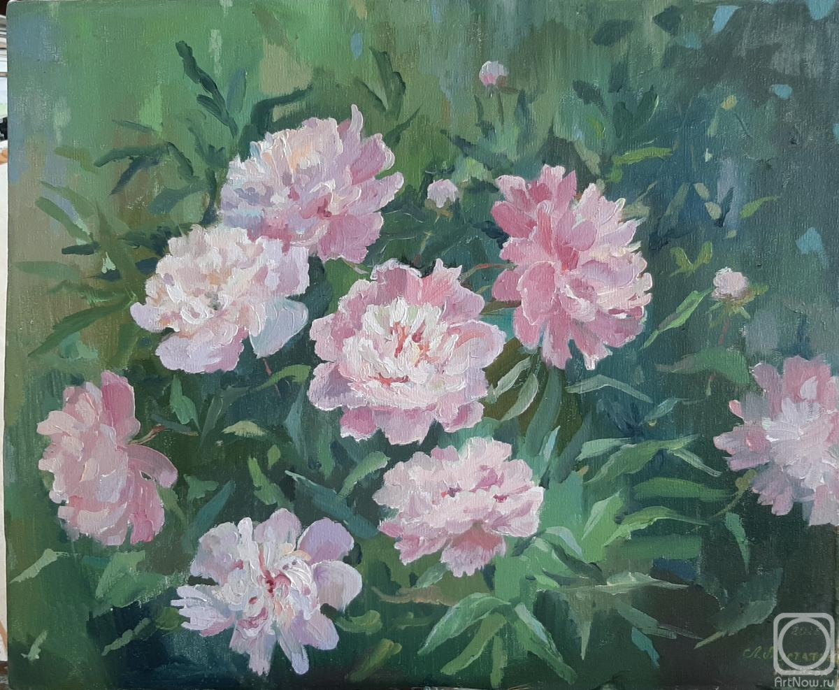 ������� ������ �� ������. ���������-������� �����. �����