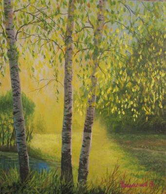 Solnechni den. Chelikanov Valeri