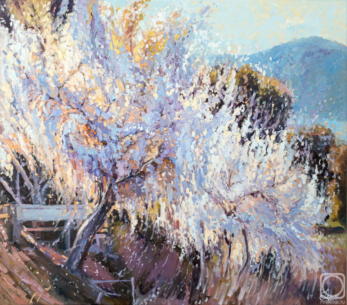 ������� ������ �� ������. �������� �����. ������ ������� ������