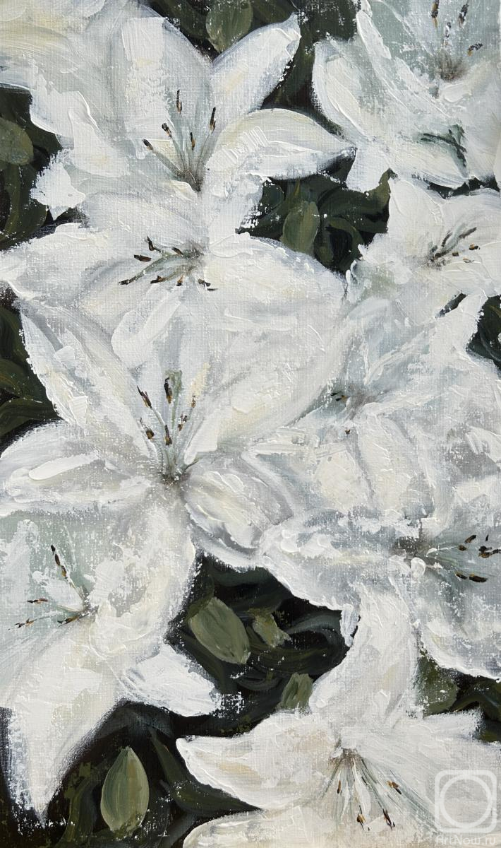 �������. ��������� ����. ��������