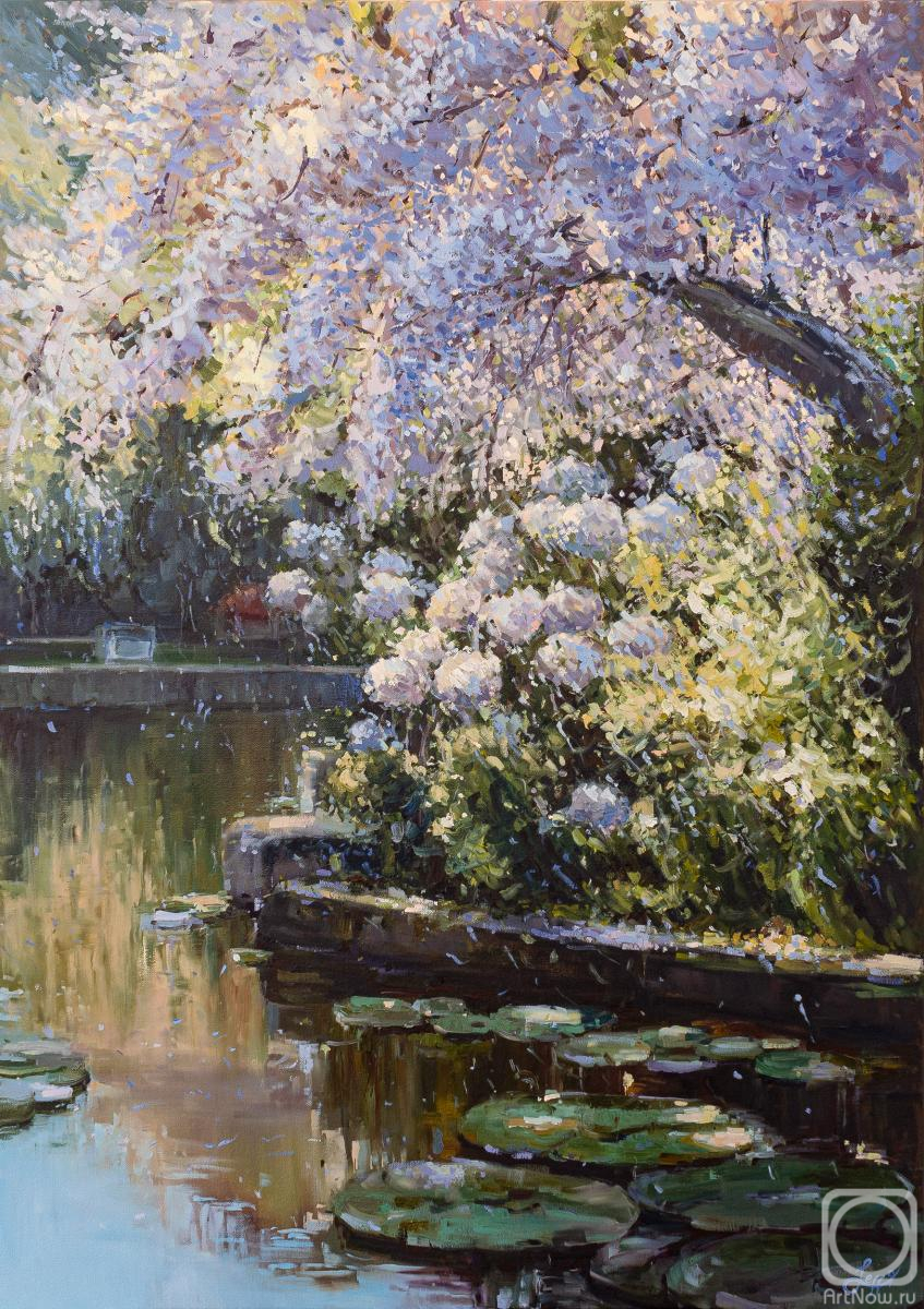 ������� ������ �� ������. �������� �����. ������� ��������