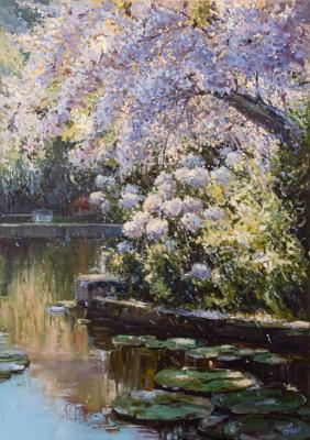 ������� �������� ���������