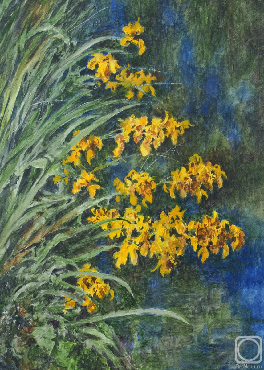 �������. �������� ������. ����� � ����