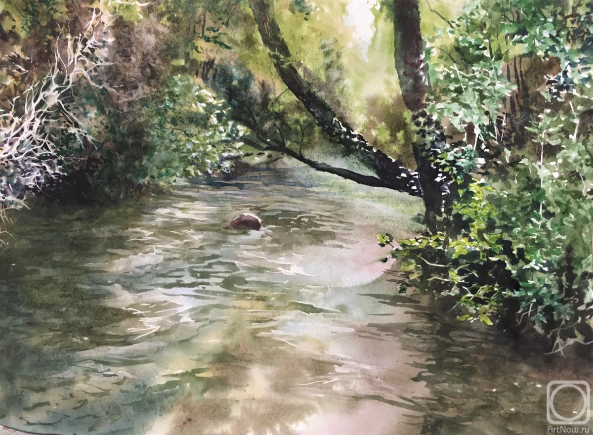 �������. ����������� ������. ���� �������