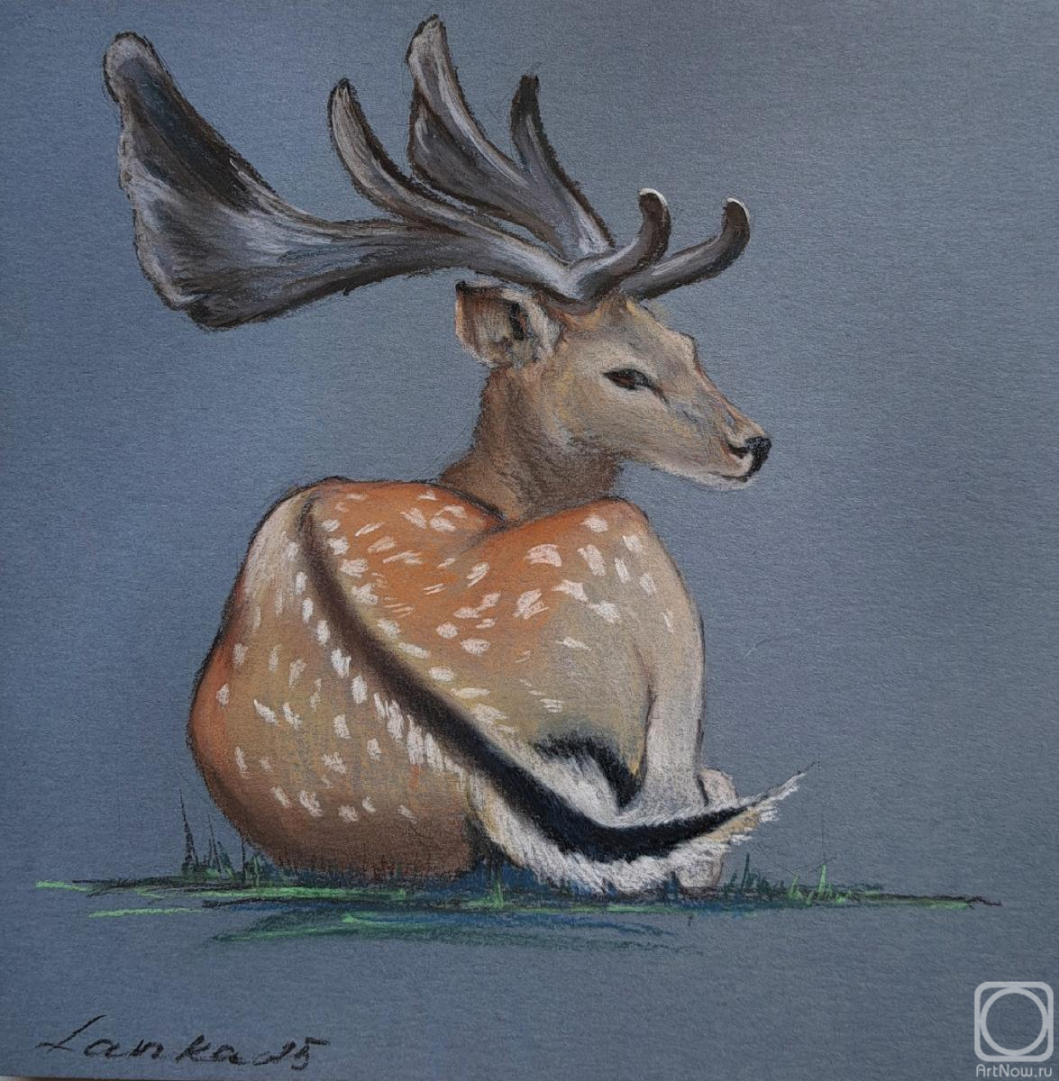 �������. ���������� ��������. ����� � ������