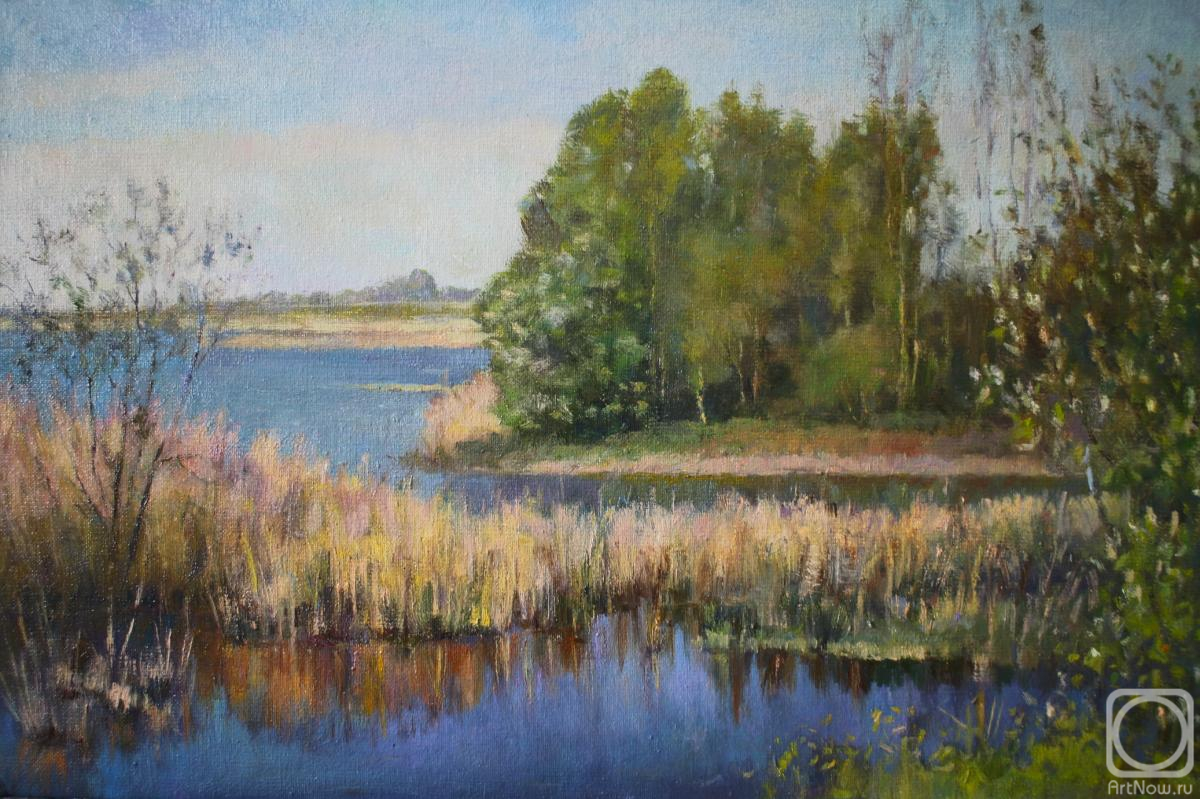 ������� ������ �� ������. ���������� ����. ������� ��������