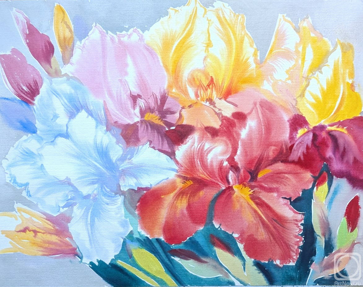 �������. ���������� ���������. ��������� �����