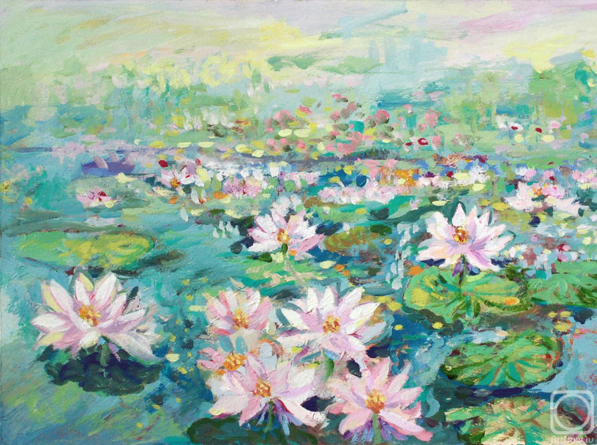 �������. �������� �����. ���� � ����������