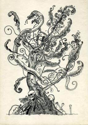 ������� �����