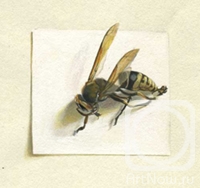 Suleymanov Michael. Wasp