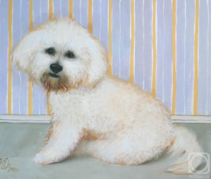 ������� ������ �� ������. ��������� ����. ������