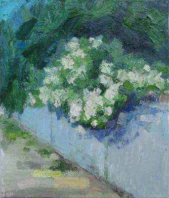 �������������� ����. ������� ��������