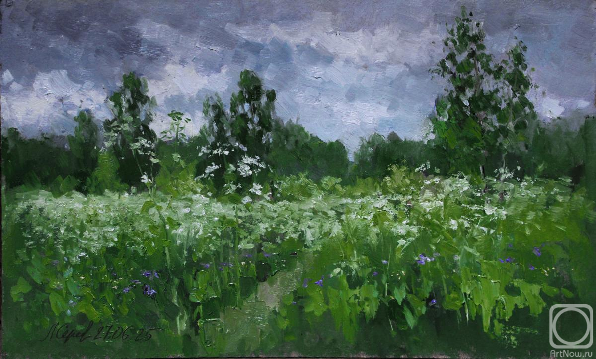 �������. �������������� ������. �������� �������� ����