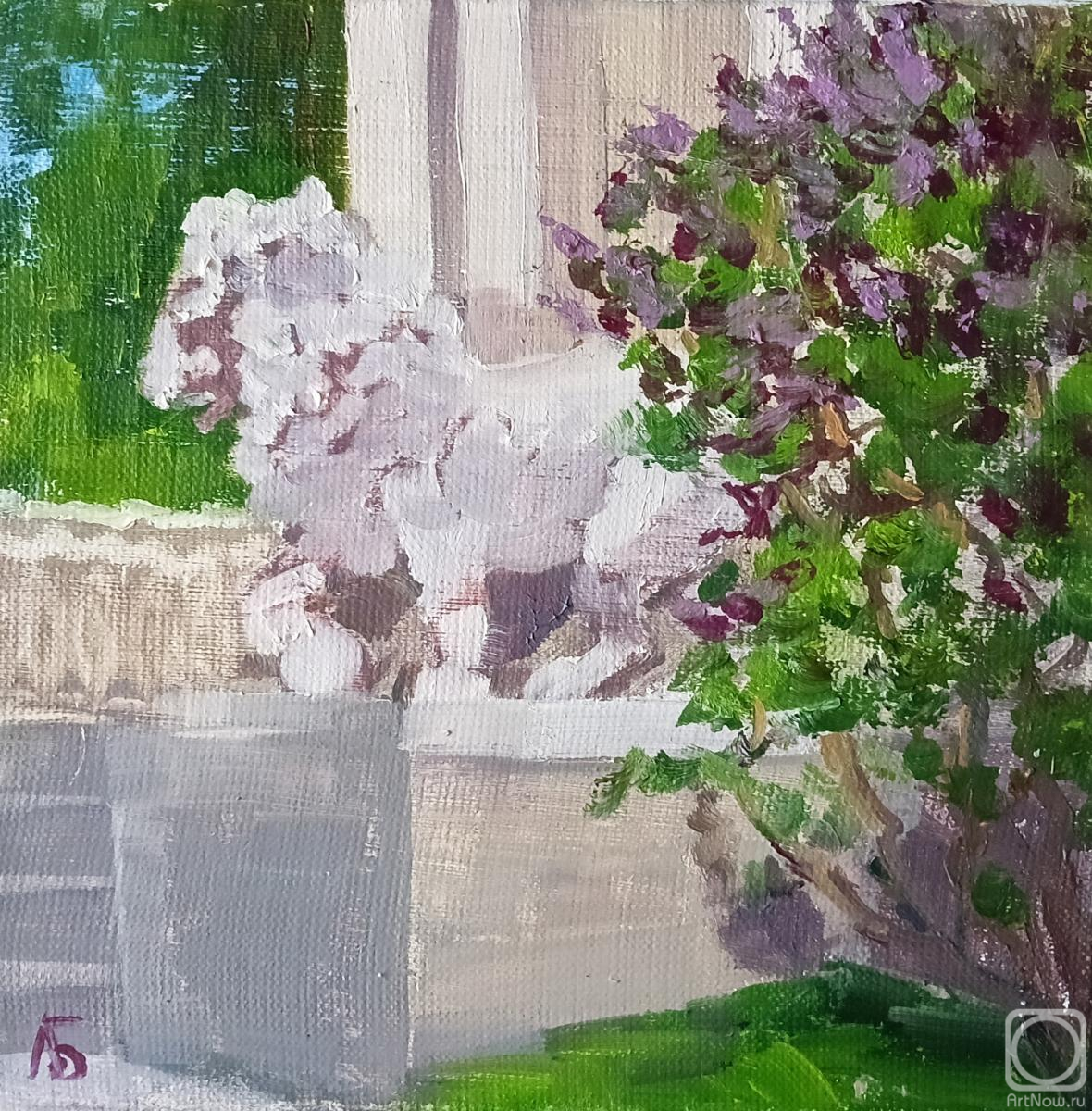 ������� ������ �� ������. ����������� �����. ��� �� �������� �������