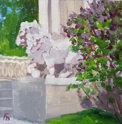 ��� �� �������� ������� (��������� ���). ����������� �����