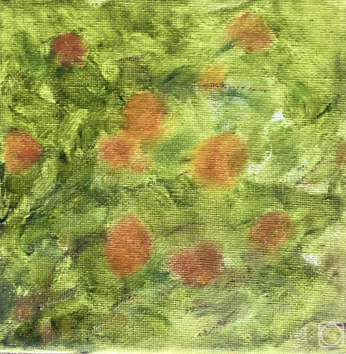 �������. ������ ����. ��������� ���������