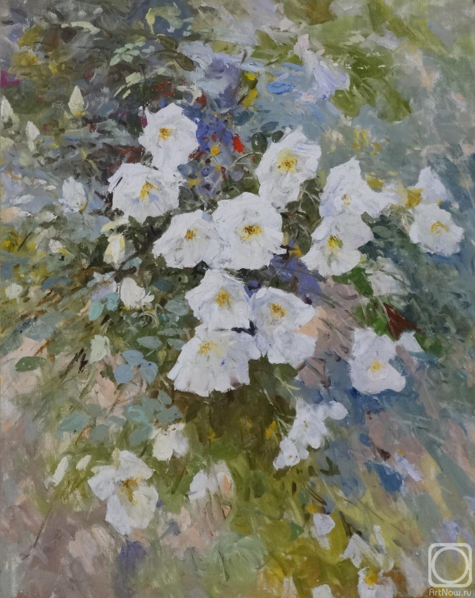 ������� ������ �� ������. ������� �������. ����