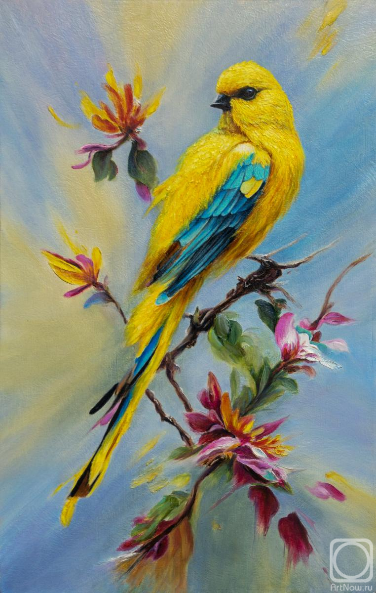 �������. �������� ����. ��������� �����