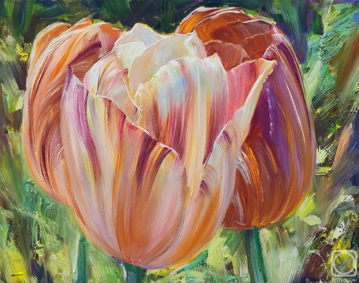 ������� ������ �� ������. �������� ������. ��������,���������� �������