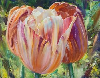 �������� ������ ��������. ��������,���������� �������