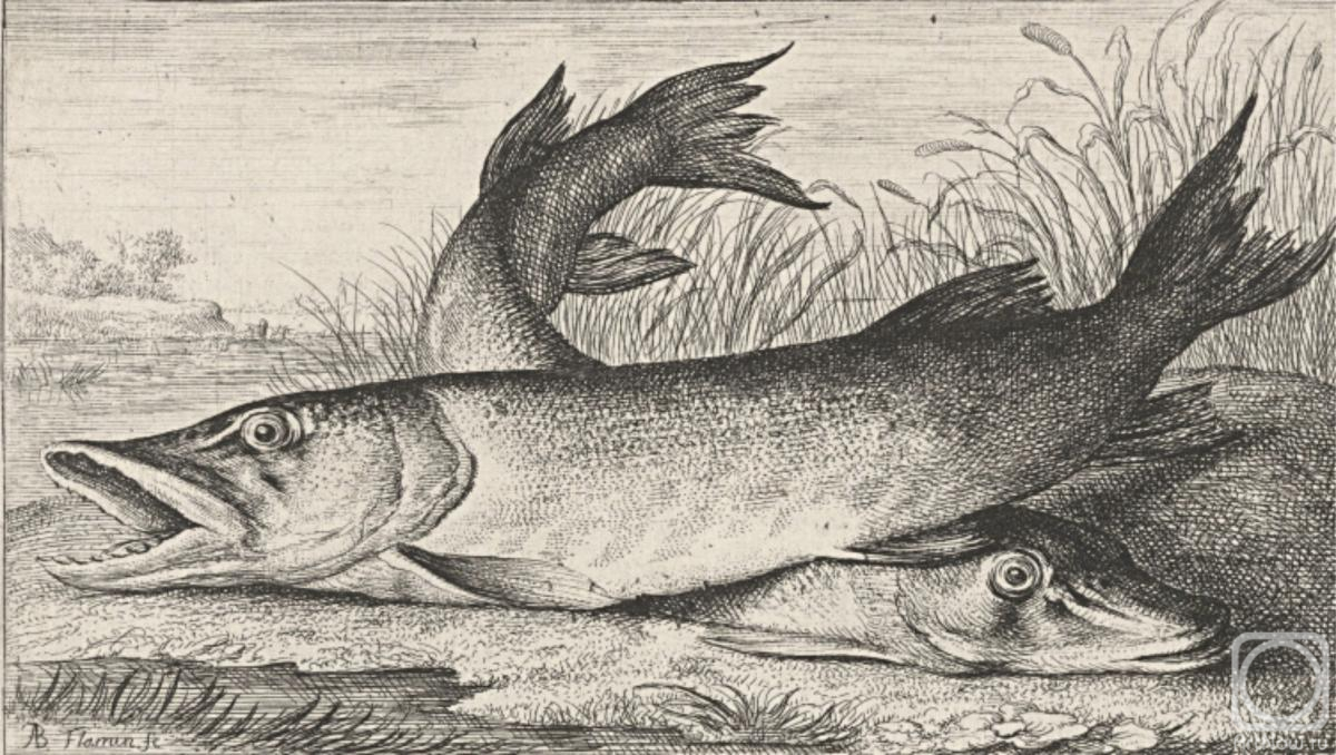 �������. ��������� ������. Lucius. ����