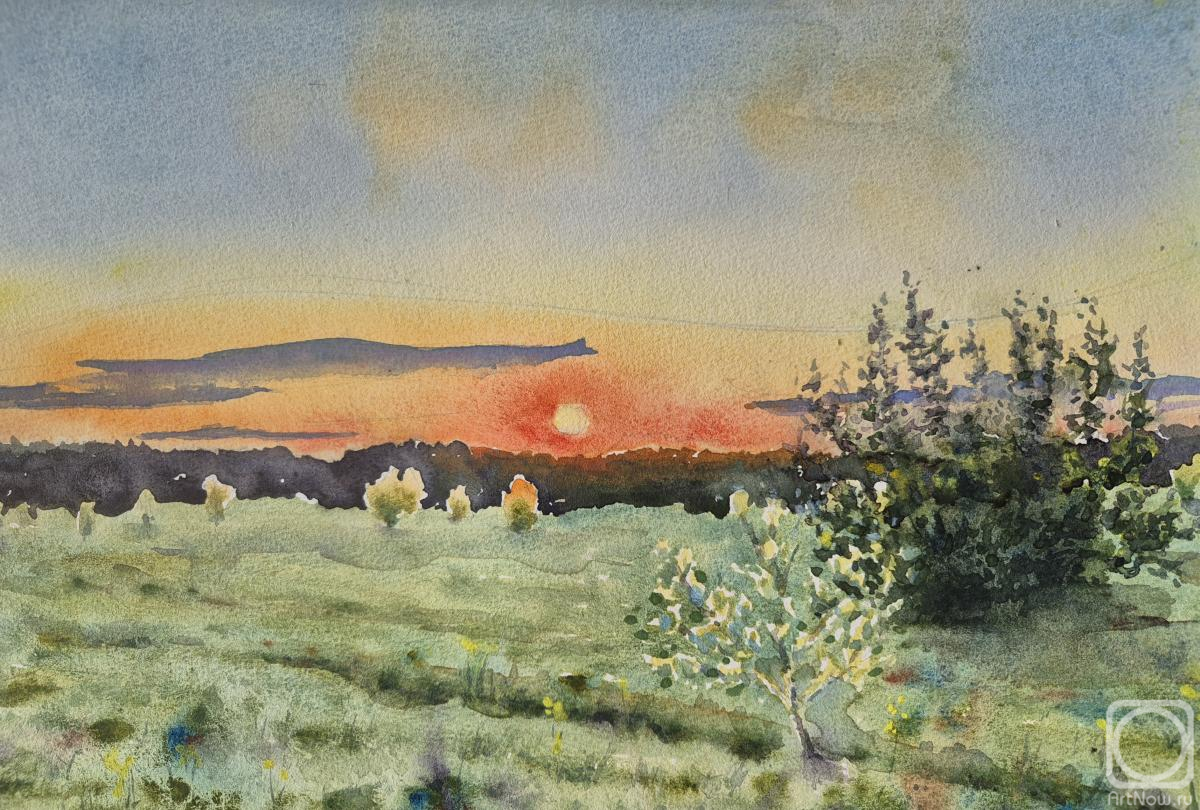 �������. ���������� ���������. �������� �����